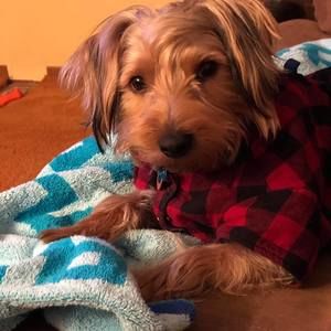 Meet your Posher, Sharon